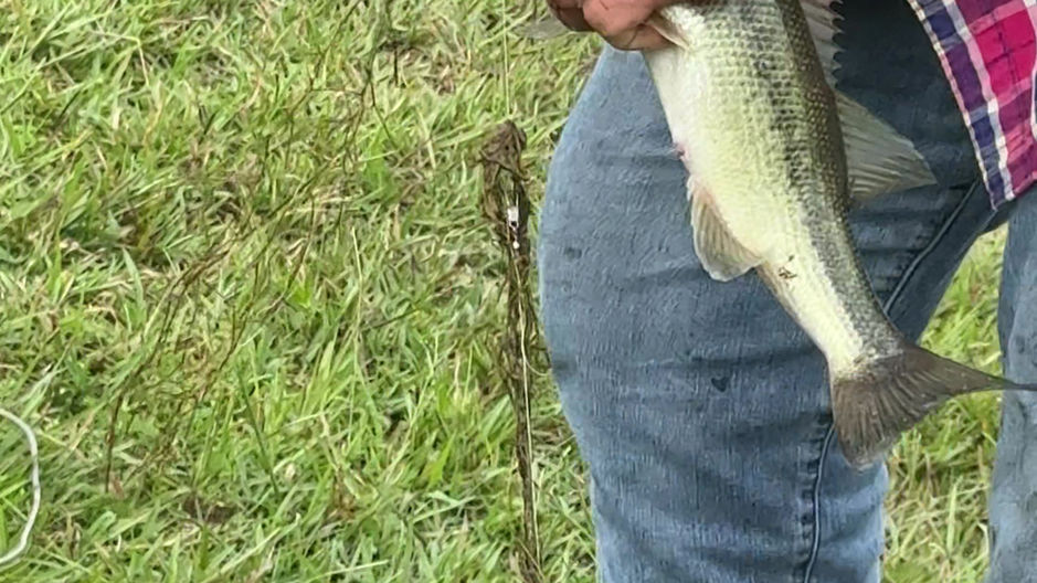 small bass fishing